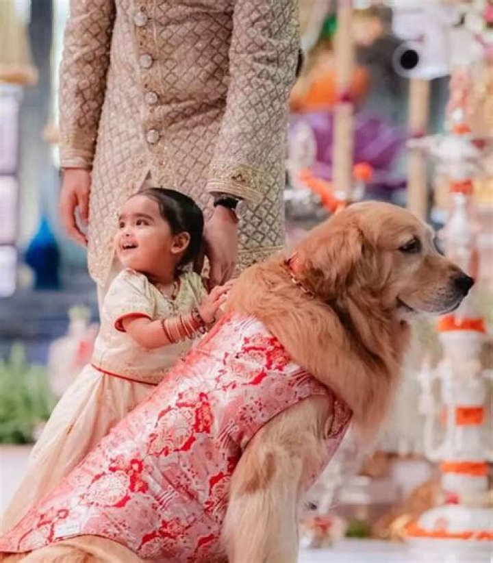 Tracing The Roots: Adiya Piramal's Great Grandparents