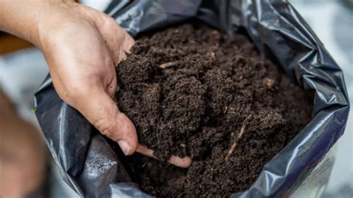 Enhance Your Garden With Asbury's Premium Topsoil