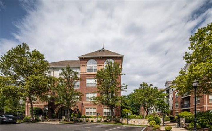 Aven Newton: The Ultimate Guide To Digital Marketing Success