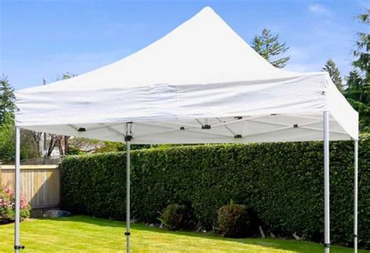 Barnum: The Master Of Showmanship And Spectacle