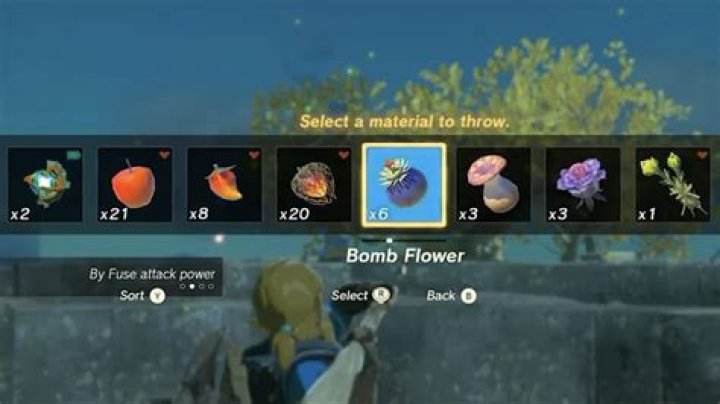 Where To Find The Most Exquisite Bomb Flowers: Your Ultimate Guide