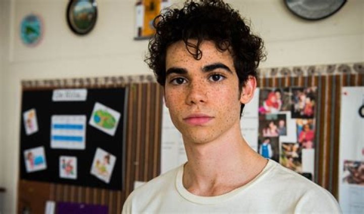 Cameron Boyce Films: The Complete Guide To His Movies