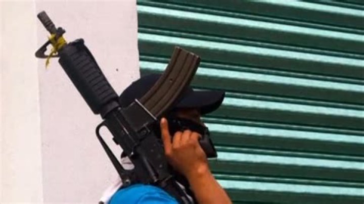 Cultural Exchange And Viral Fame Revealed