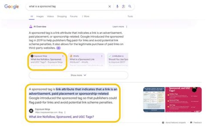 Find Out Your Google Ranking Today: Check Site Rank On Google