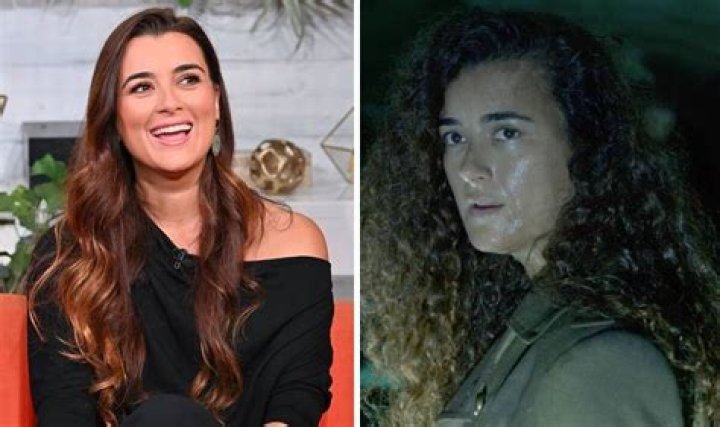 Cote De Pablo A Look Into Her Life As A Mother