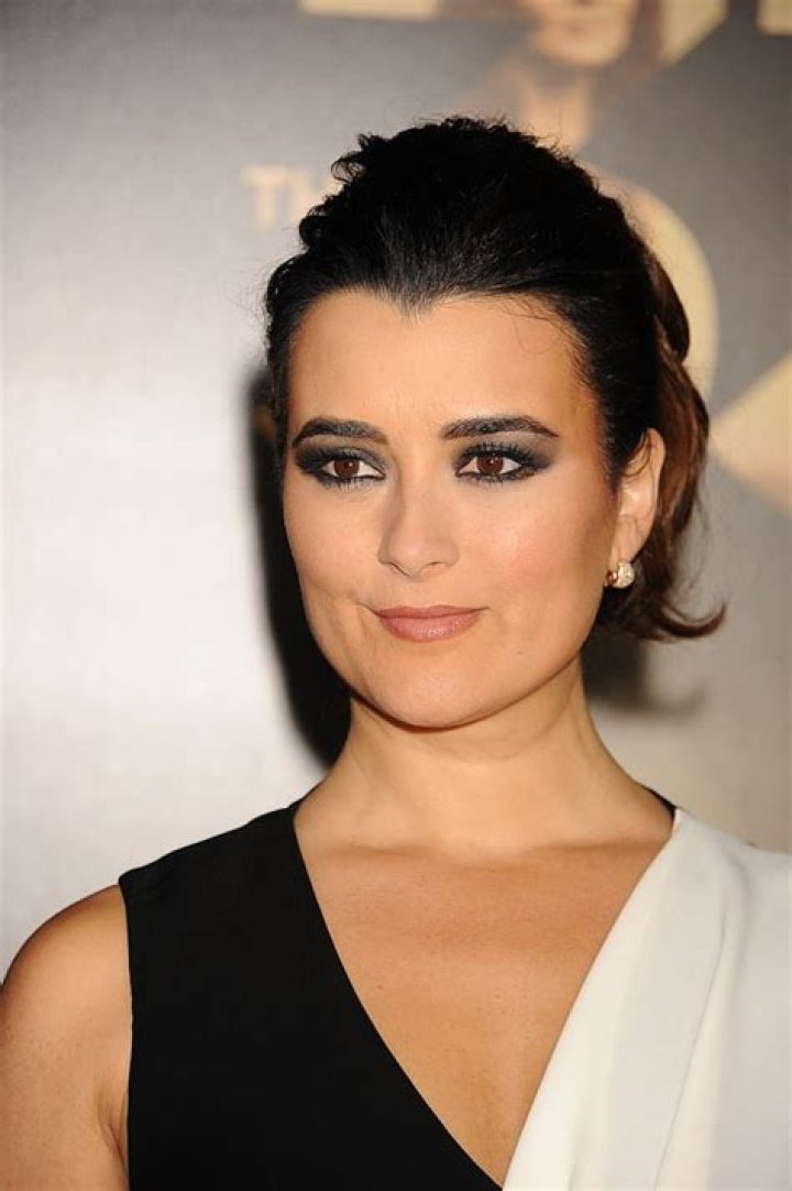 Ethnicity Spotlight: Cote De Pablo's Heritage And Background
