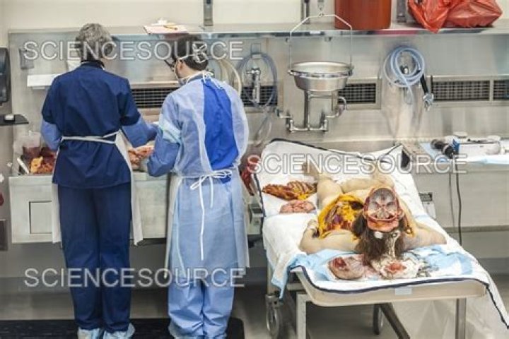 Understanding The Unseen: A Deep Dive Into Documenting Reality Autopsy