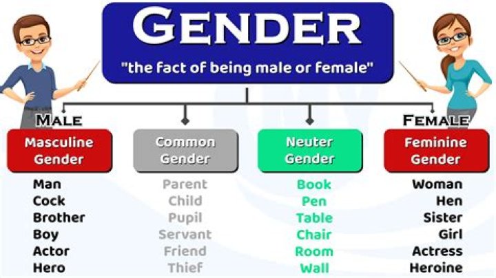 Understanding Gender: A Comprehensive Guide