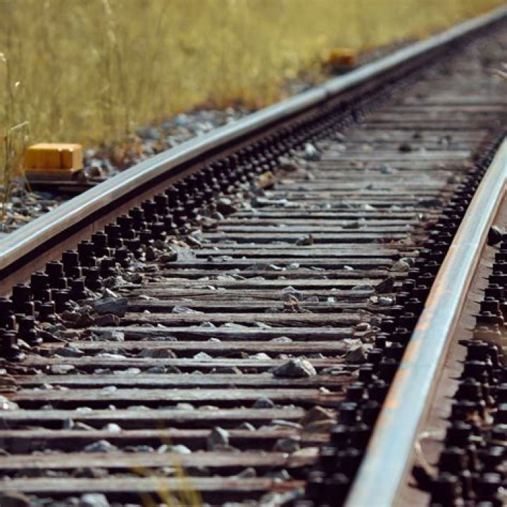 Joe Rogan's Death Rumors: The Truth Behind The Headlines