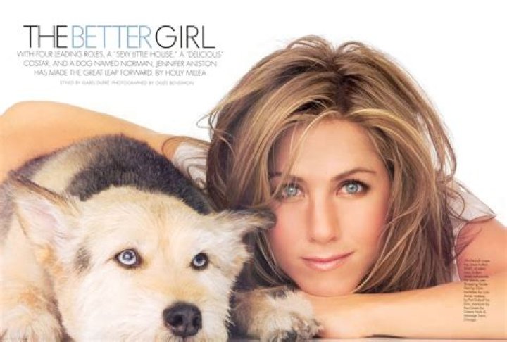 Jennifer Aniston's Beloved Dog, Norman: A Tail-Wagging Companion
