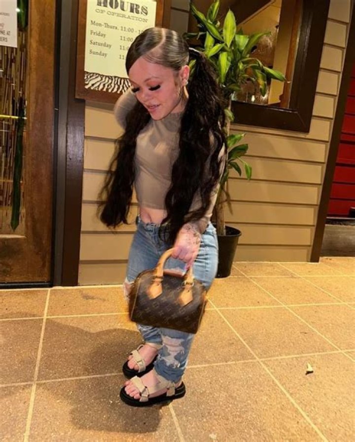 Kelsey Midget: Explore The Intriguing World Of Miniature Horses