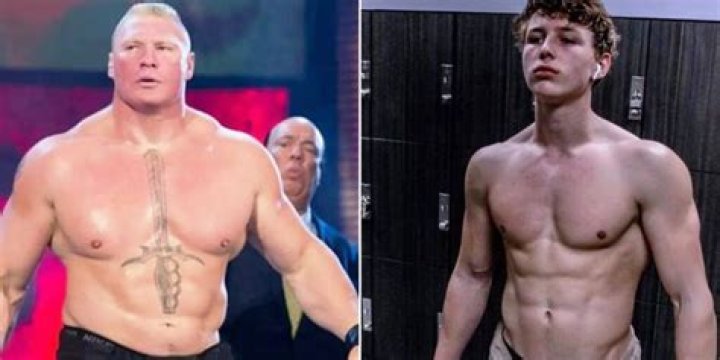 The Ultimate Guide To Luke Lesnar: UFC Star And WWE Superstar