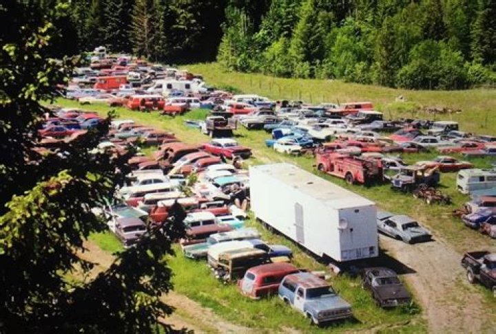 Mike Hall, A Towering Figure In Motorsport: Unveiling His Remarkable Height