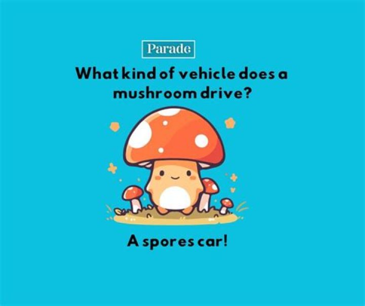 Discover A World Of Mushroom Jokes