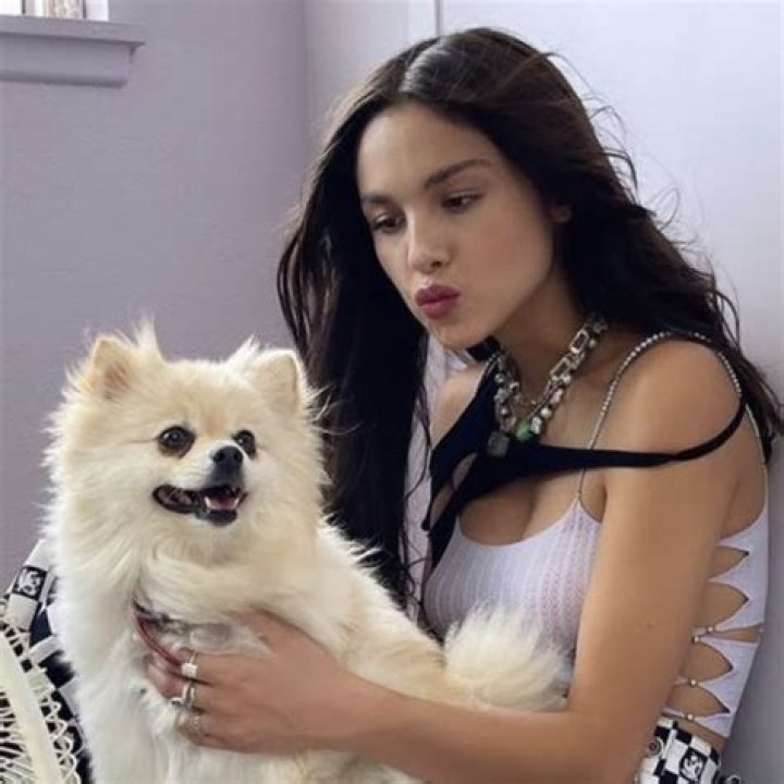Olivia Rodrigo's Furry Friend: Meet Her Beloved Dog