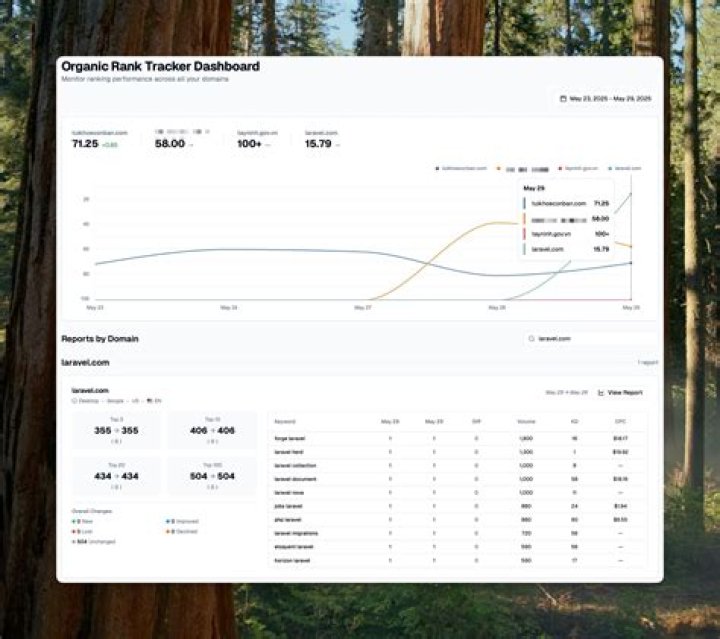 The Ultimate Guide To Organic Rank Tracking