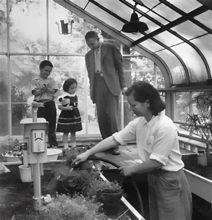 The Birth Of Peter Oppenheimer: A Life-Changing Event