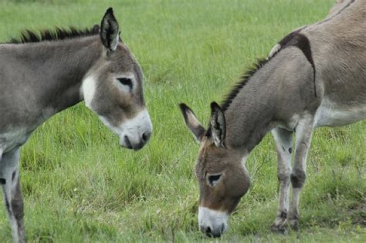 Discover The Power Of Popell: A Comprehensive Guide To Enhancing Your Experience