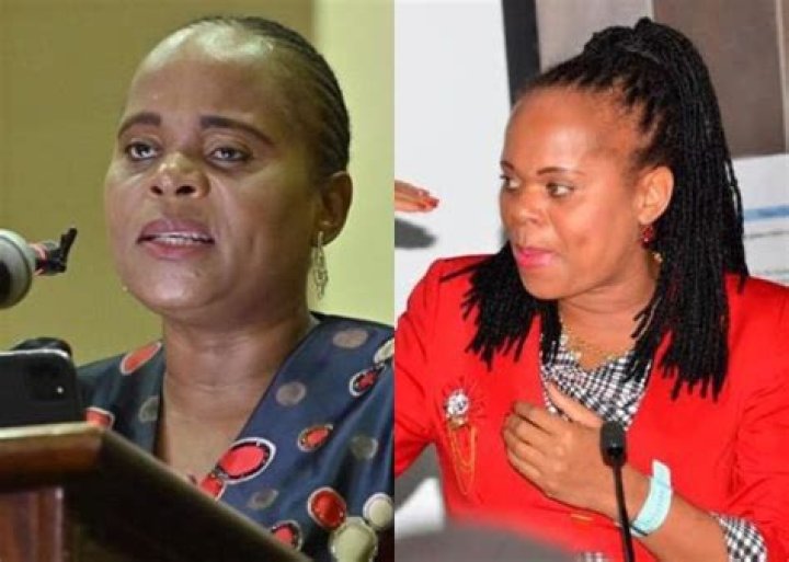 Check Out The Latest On Poppy Ramaphosa Age