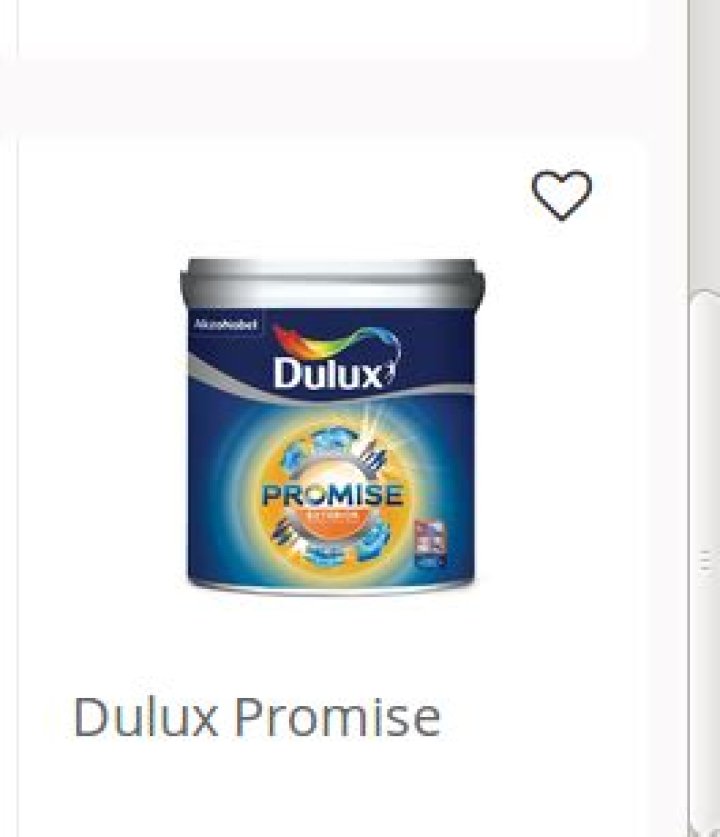 Exceptional Promise Paint: Unparalleled Quality And Results Guaranteed