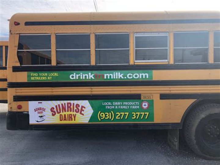 Rachel Garvin: The Art Of Storytelling