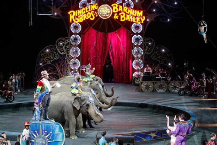 The Enchanting Legacy Of The Ringling Brothers Circus