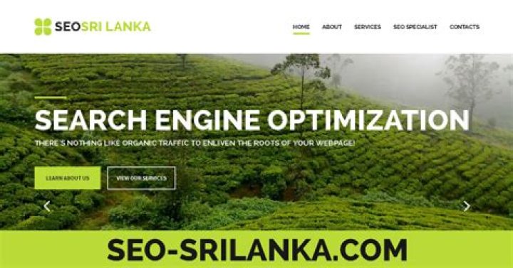 The Ultimate Destination For SEO Expertise In Sri Lanka