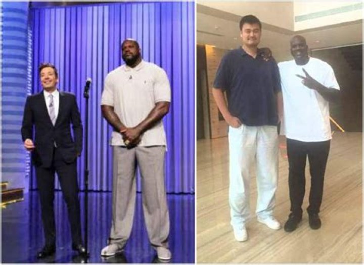 Shaq: Standing Tall Among Basketball's Giants