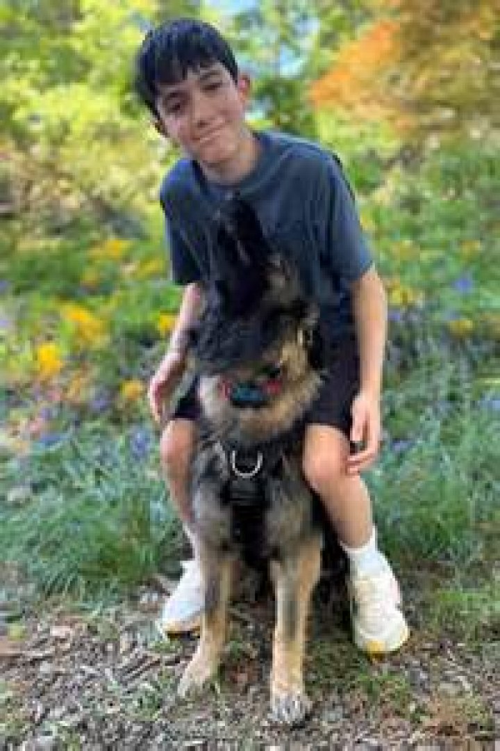 2024: Simon Cowell's Son's Age Revealed