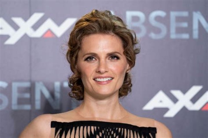 Stana Katic's Net Worth Explored