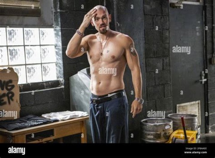 Steve Howey's Stellar Performance In 