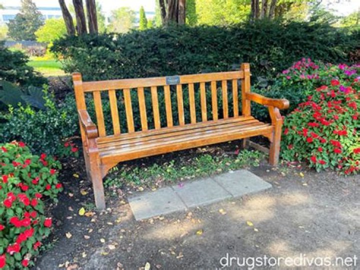 The Ultimate Guide To The Taylor Swift Bench: A Symbol Of Love And Inspiration